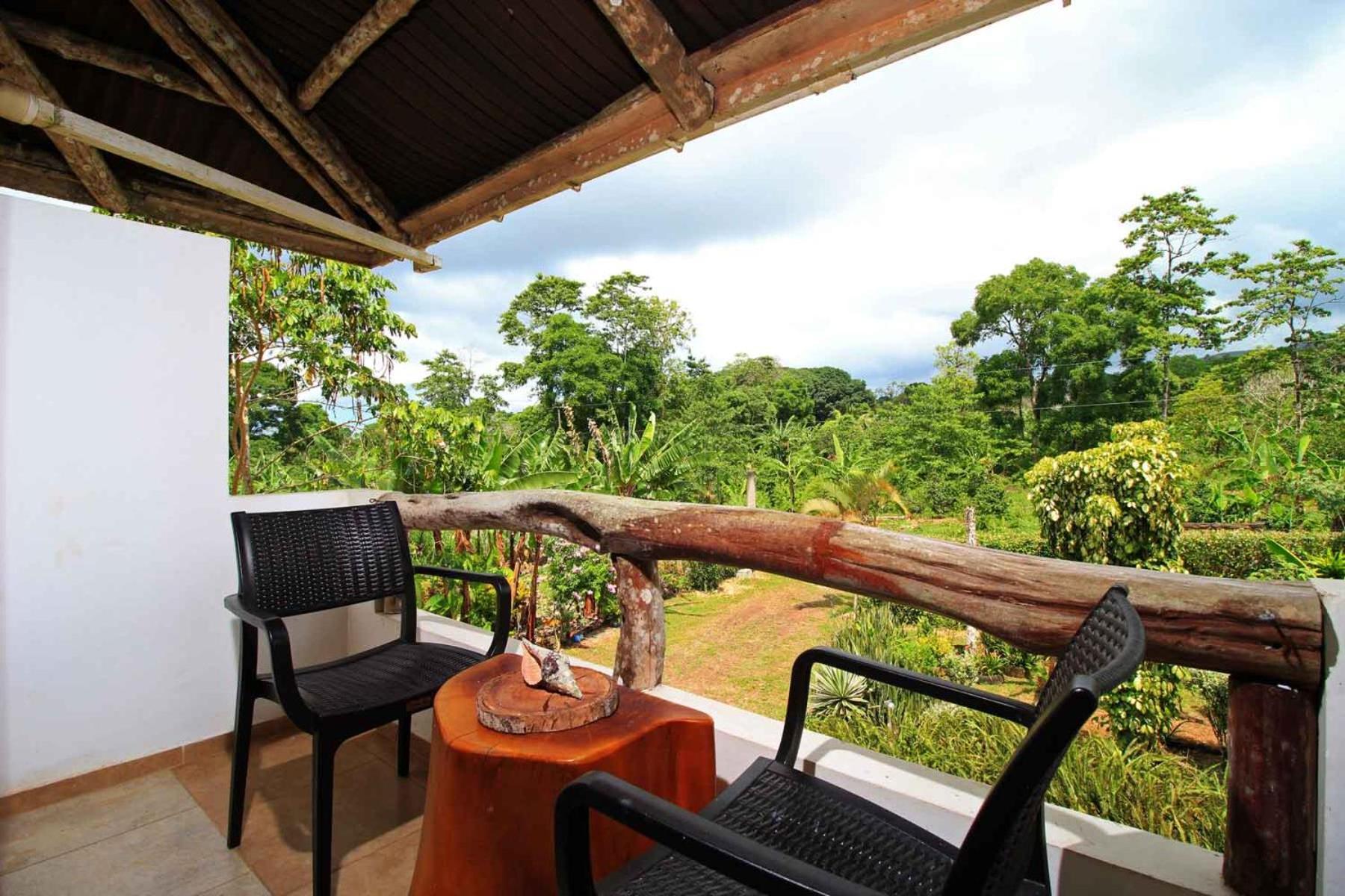 Natura Gardens Galapagos Bellavista  Exteriör bild