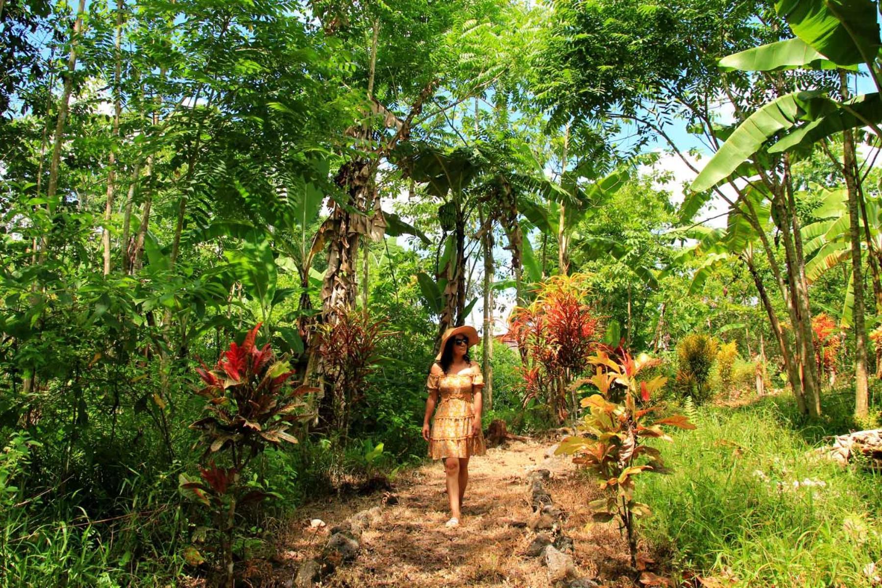 Natura Gardens Galapagos Bellavista  Exteriör bild